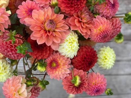 Large Handbag Bunch