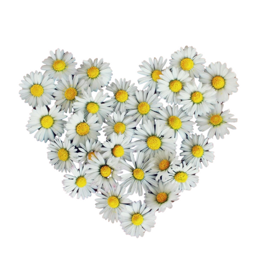 Heart Wreath ( closed ) - ADD ON SERVICE