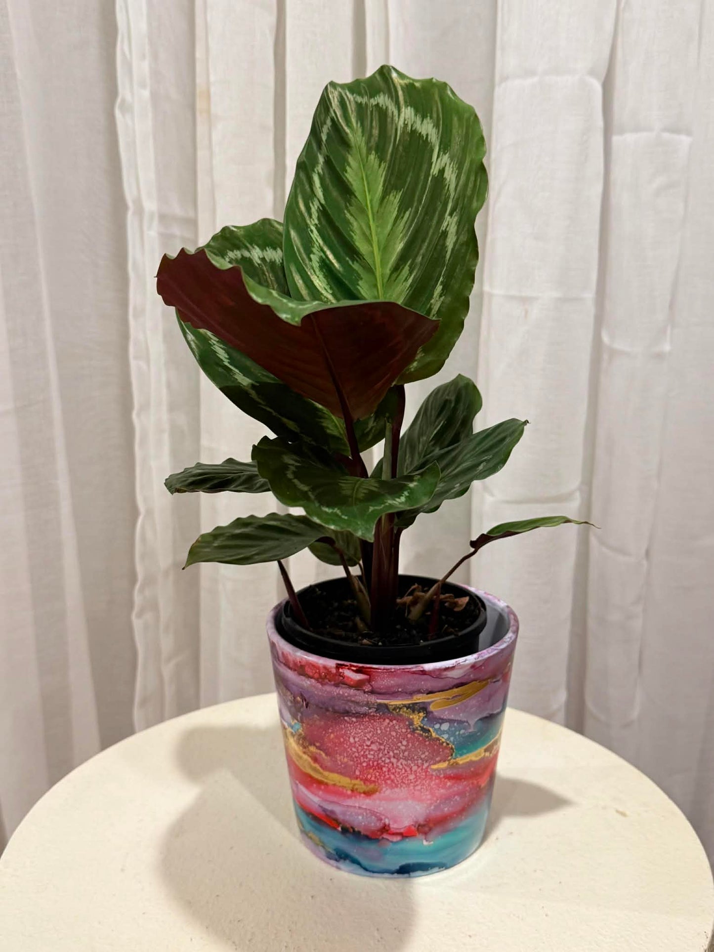 Hand painted Pot - A