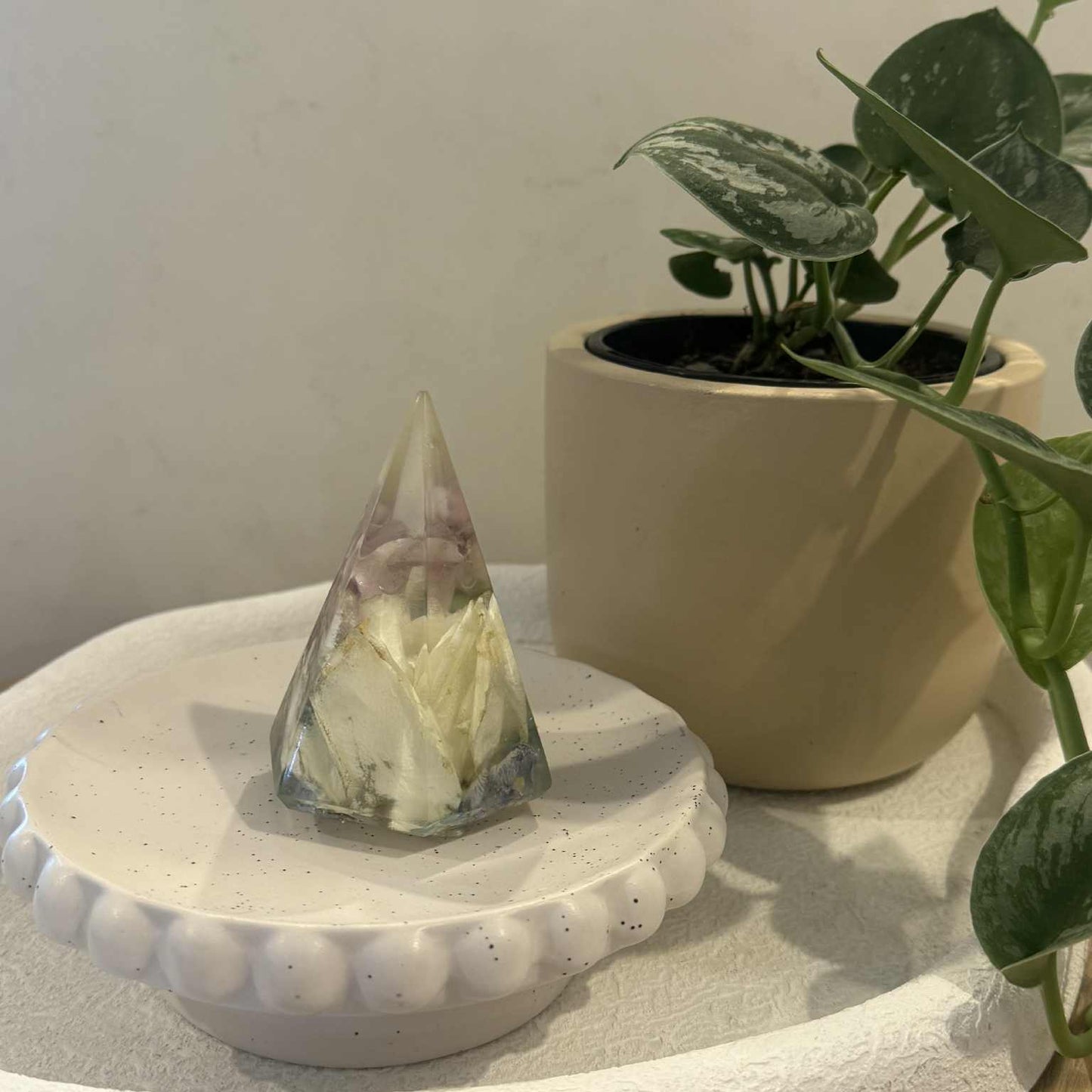 BREE - A Large Ring holder