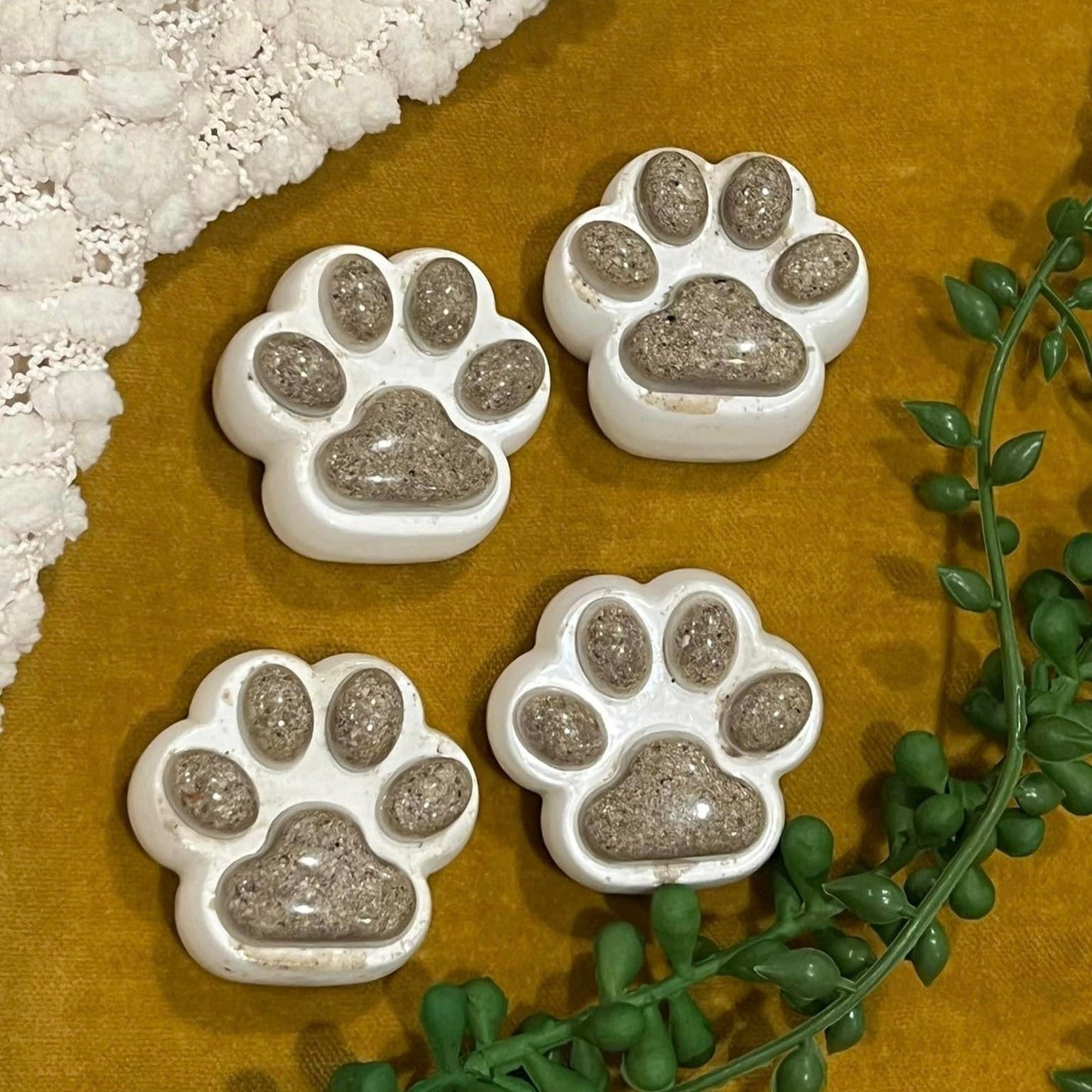 Memorial Paws with Ashes