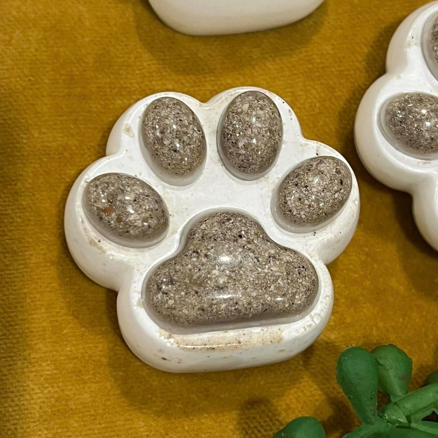 Memorial Paws with Ashes