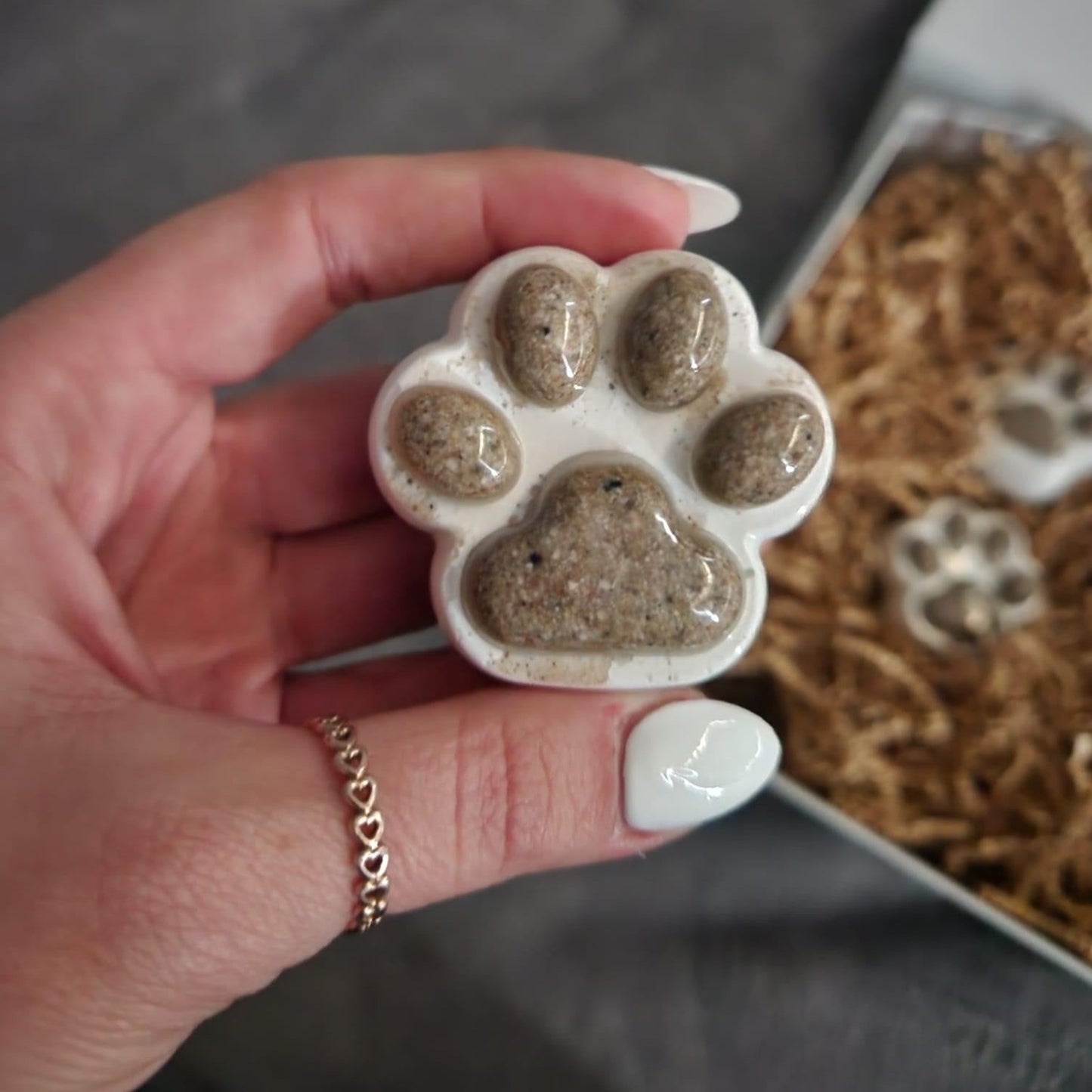 Memorial Paws with Ashes