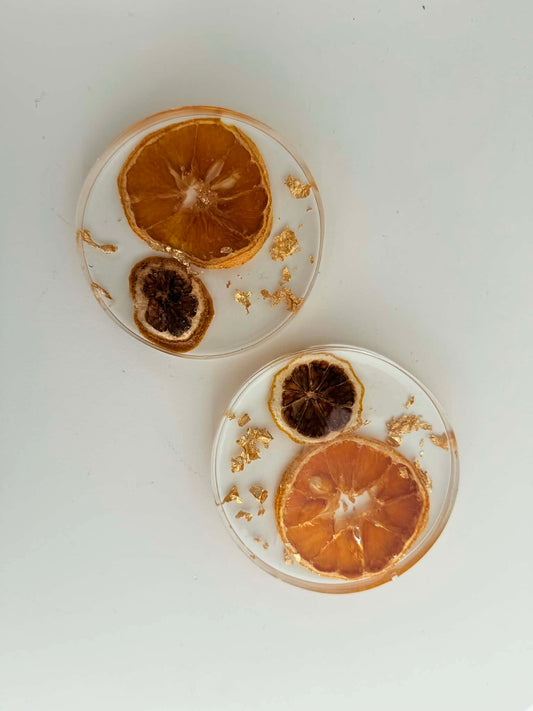 Citrus Coasters - set of 2 -b