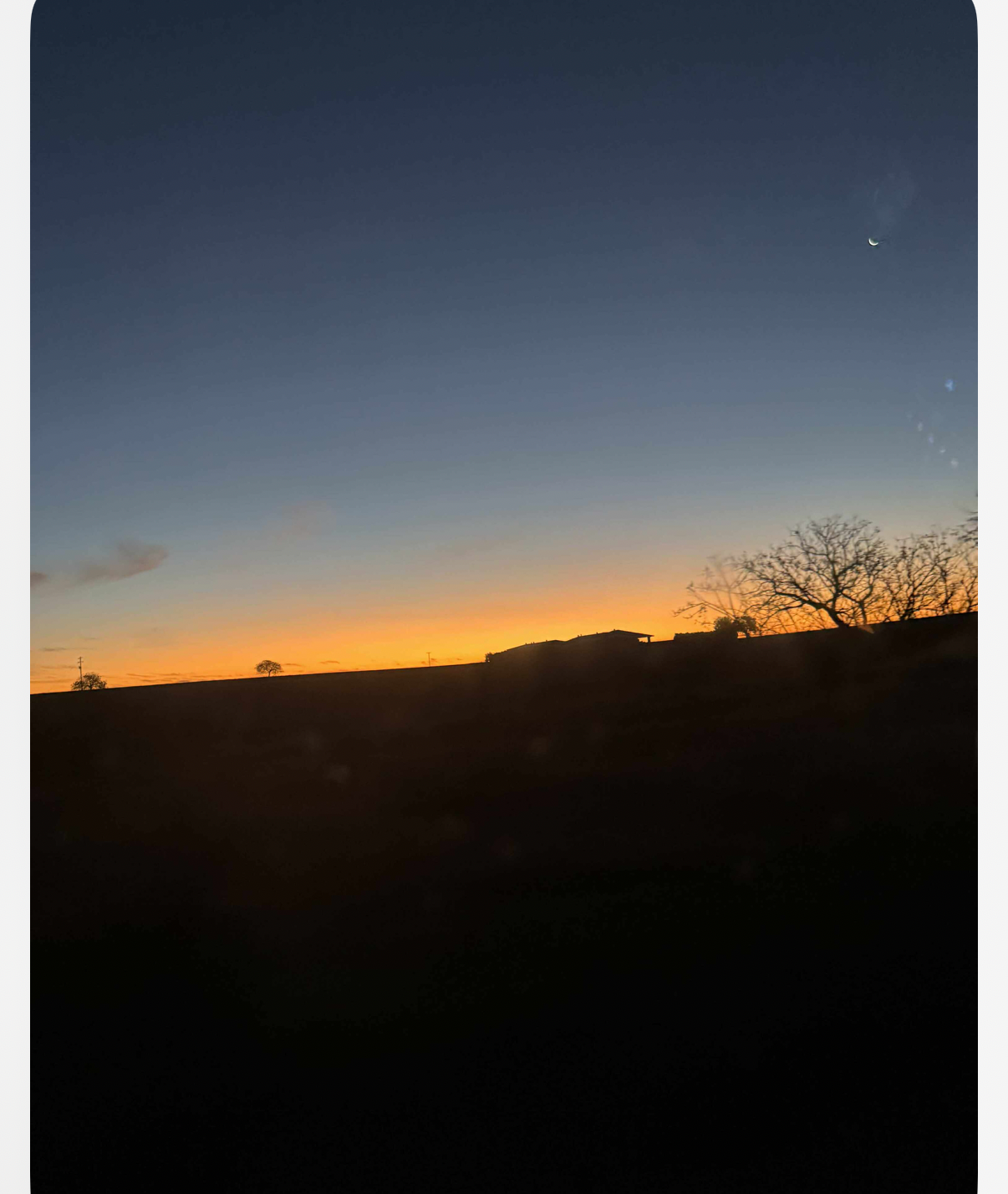 Amalie Young - Artwork