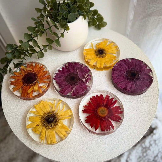 Circle Coasters