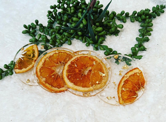 Citrus Coasters - set of 4