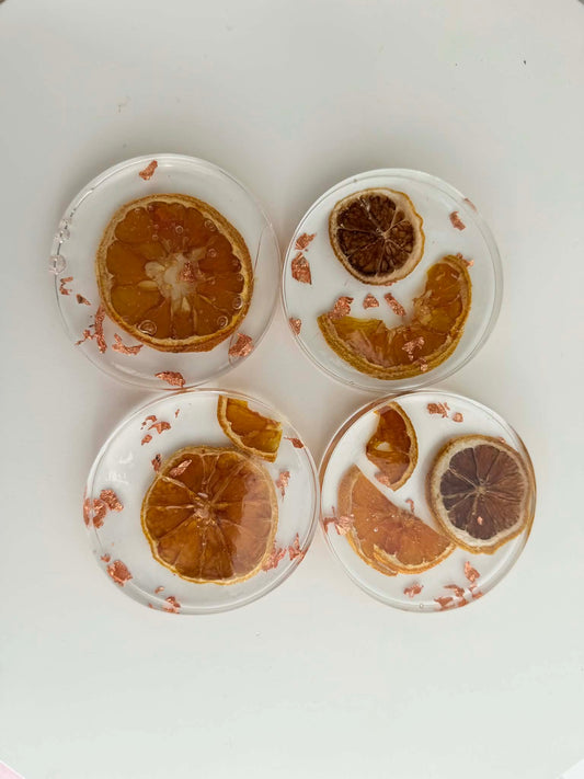 Citrus Coasters - set of 4-b