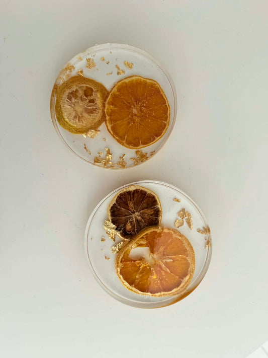 Citrus Coasters - set of 2 -a