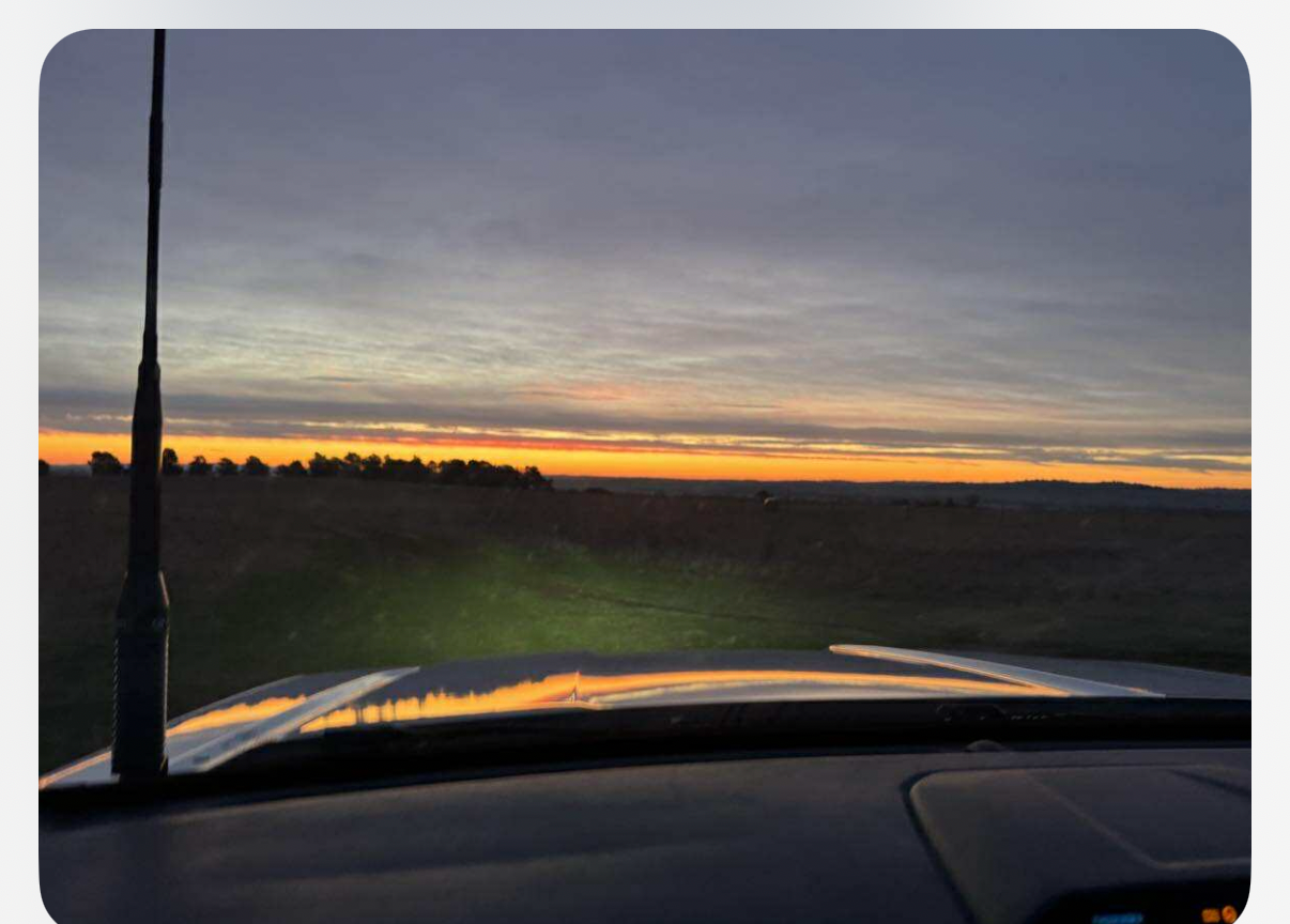 Amalie Young - Artwork