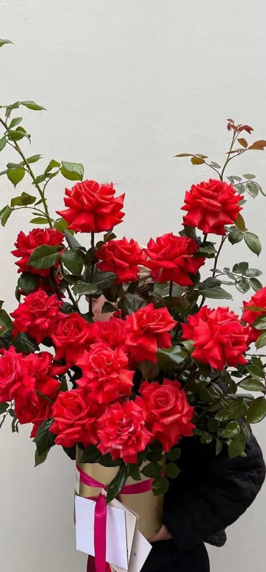 Taylor Jane - 50% deposit