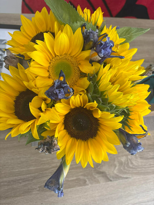 Michelle McClarance - 50% deposit