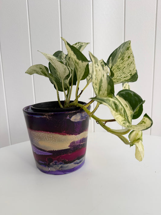 Hand painted Pot -E