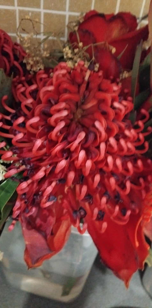 Tarah Whyte - 50% deposit