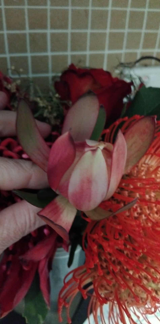 Tarah Whyte - 50% deposit