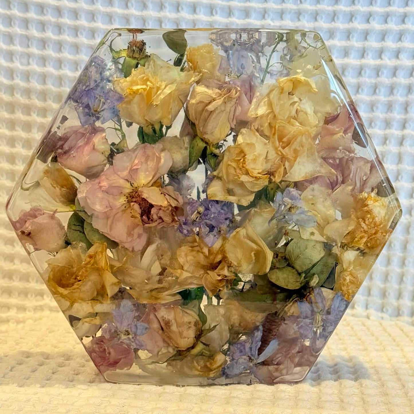 RYLIE - A Extra Large Hexagon